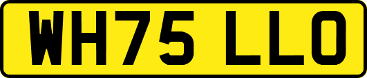 WH75LLO