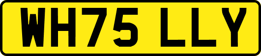 WH75LLY