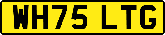 WH75LTG