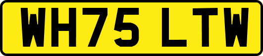 WH75LTW