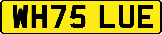 WH75LUE