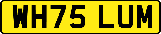 WH75LUM
