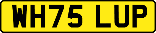 WH75LUP