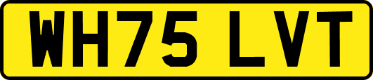 WH75LVT