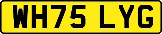 WH75LYG