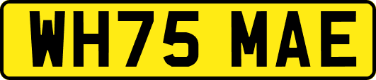 WH75MAE