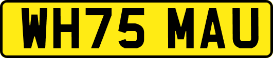 WH75MAU