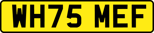 WH75MEF