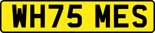 WH75MES
