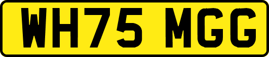 WH75MGG