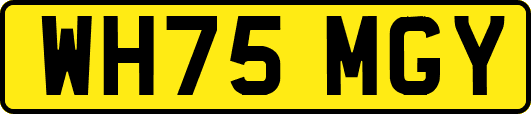 WH75MGY