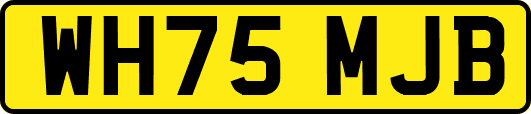WH75MJB