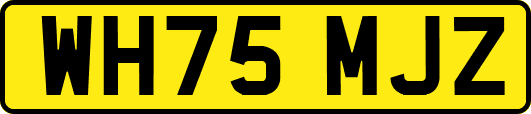 WH75MJZ