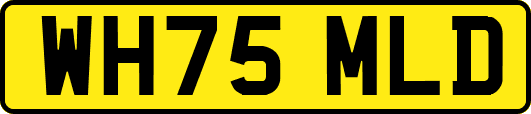 WH75MLD