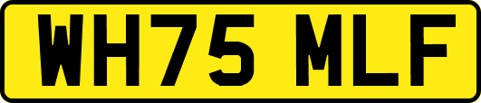 WH75MLF