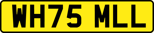 WH75MLL