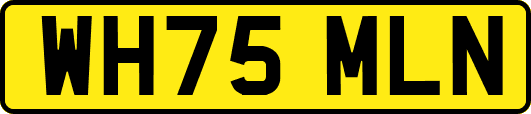 WH75MLN