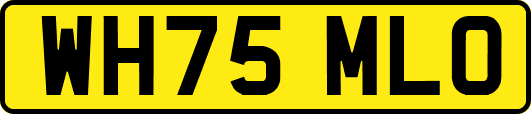 WH75MLO