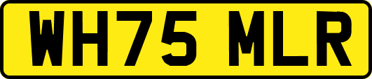 WH75MLR