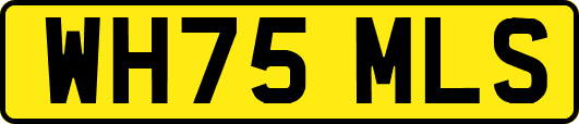 WH75MLS