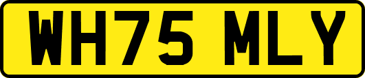 WH75MLY