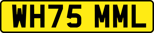 WH75MML