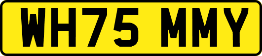 WH75MMY