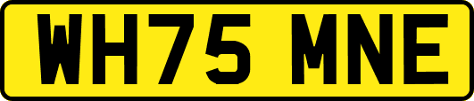 WH75MNE