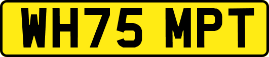 WH75MPT