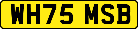 WH75MSB