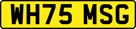 WH75MSG