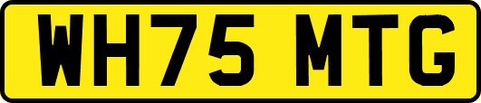 WH75MTG