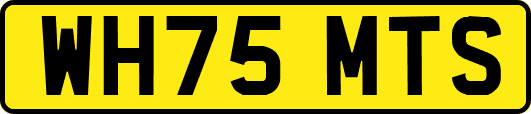 WH75MTS
