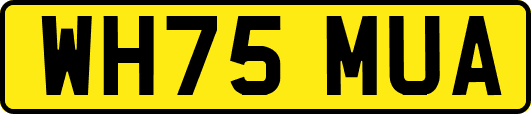 WH75MUA