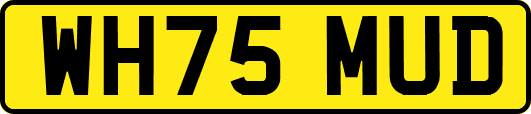 WH75MUD