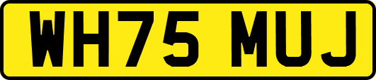 WH75MUJ