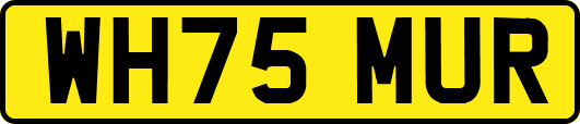 WH75MUR