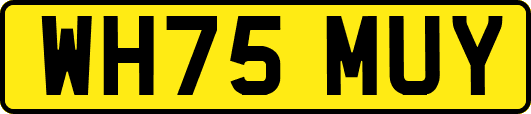 WH75MUY