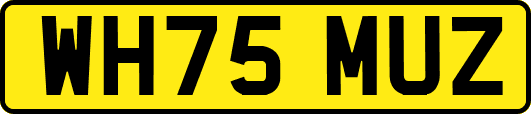 WH75MUZ