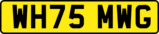 WH75MWG