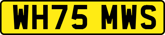 WH75MWS