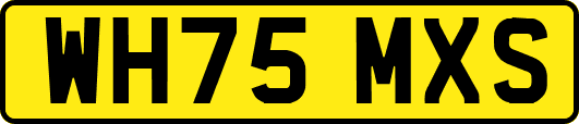 WH75MXS
