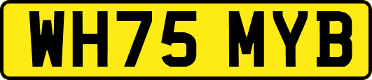 WH75MYB