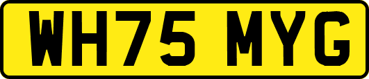 WH75MYG