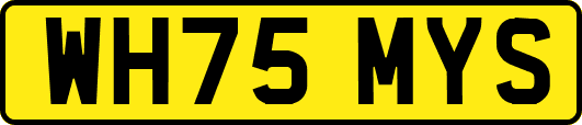 WH75MYS