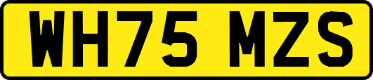 WH75MZS