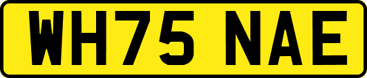 WH75NAE