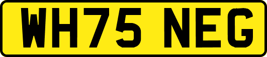 WH75NEG