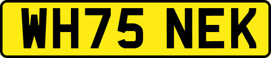 WH75NEK