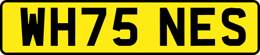 WH75NES